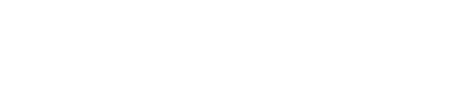 Agent Access Manager